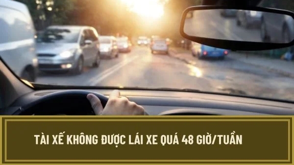 Từ ngày 1/1/2025, tài xế ô tô kinh doanh vận tải không lái xe quá 48 giờ một tuần