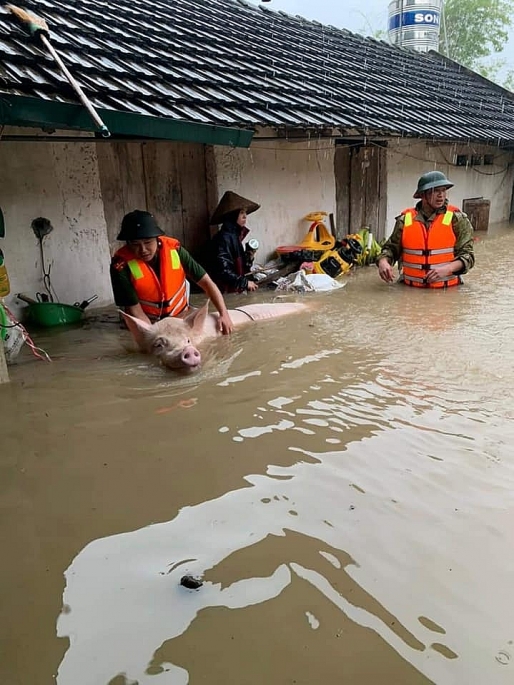 Vĩnh Phúc: Nhiều chiến sĩ công an dầm mưa hỗ trợ người dân vượt qua ngập lụt