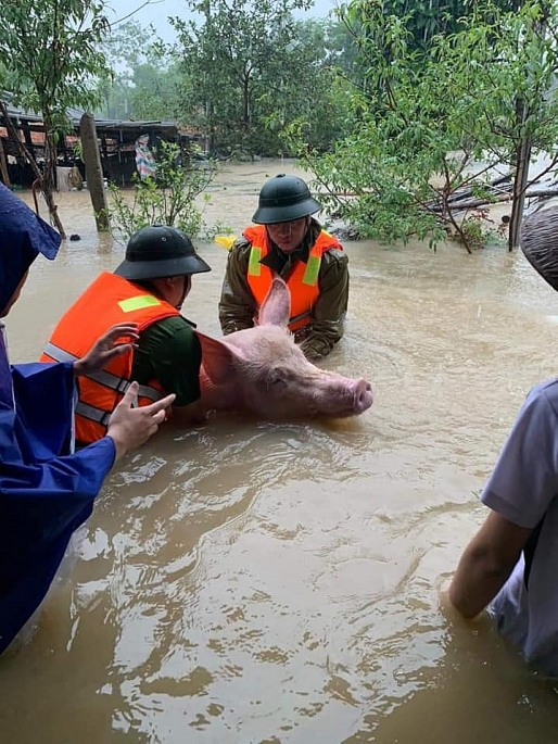 Giải cứu người đánh cá mắc kẹt dưới trụ cầu giữa dòng nước lũ chảy xiết