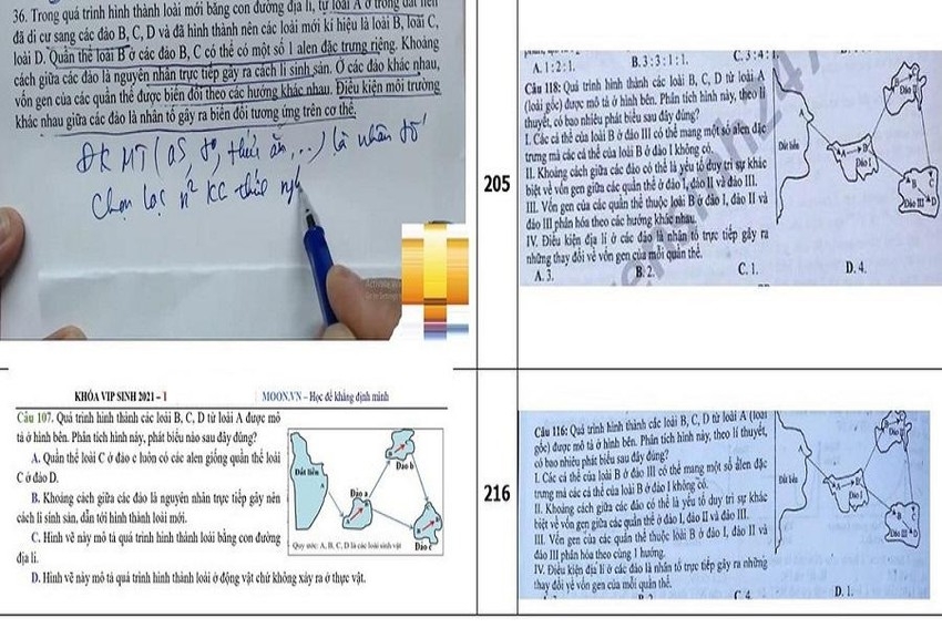 Hình ảnh đề thi môn Sinh học được cho là rất giống với đề ôn thi. Ảnh: A.T