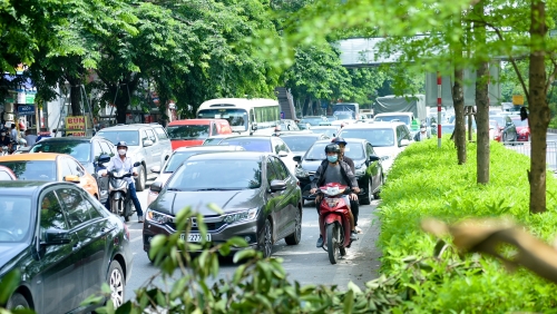 Đổ gãy cây đa trăm tuổi, giao thông trên đường Võ Chí Công ùn tắc cục bộ