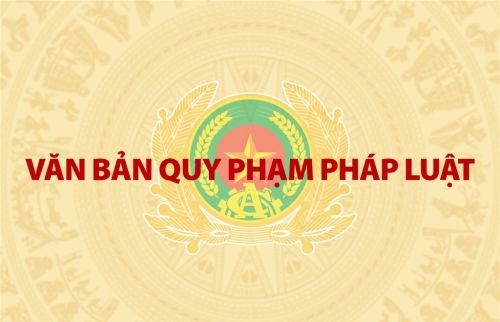 Rà soát, bãi bỏ văn bản quy phạm pháp luật thuộc thẩm quyền của Thủ tướng Chính phủ