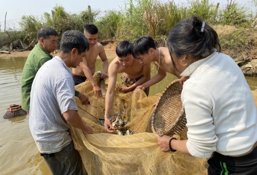 Háo hức kéo lưới bắt cá ngày giáp Tết