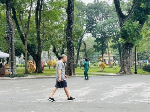 Hà Nội: Đẩy nhanh tiến độ cải tạo các công viên, vườn hoa