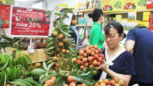 Hà Nội tiếp tục đổi mới hoạt động xúc tiến thương mại, sản phẩm nông sản