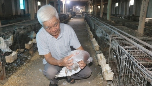 Gương bệnh binh làm kinh tế giỏi và nhiệt huyết với công tác xã hội