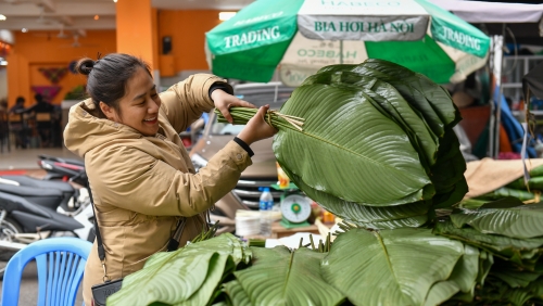 Chợ lá dong Trần Quý Cáp lưu giữ nét cổ xưa giữa lòng Hà Nội