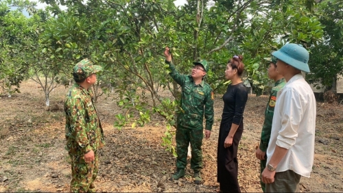 Kỳ 2: Làm kinh tế khó, có cán bộ, chiến sĩ bộ đội biên phòng lo