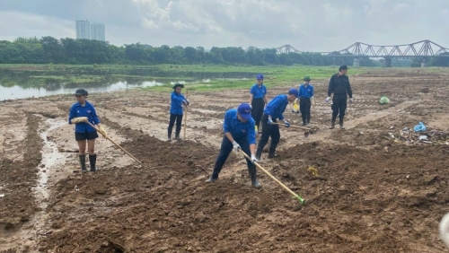 Tăng mảng xanh, bảo vệ môi trường đô thị