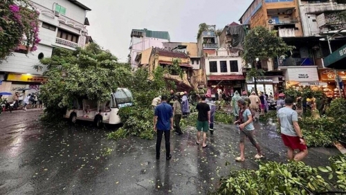 Hà Nội: bão số 3 khiến 7 người thương vong, hơn 400 cây xanh gãy, đổ