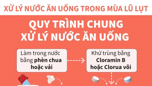 Hướng dẫn xử lý nước ăn uống và vệ sinh môi trường mùa bão lũ