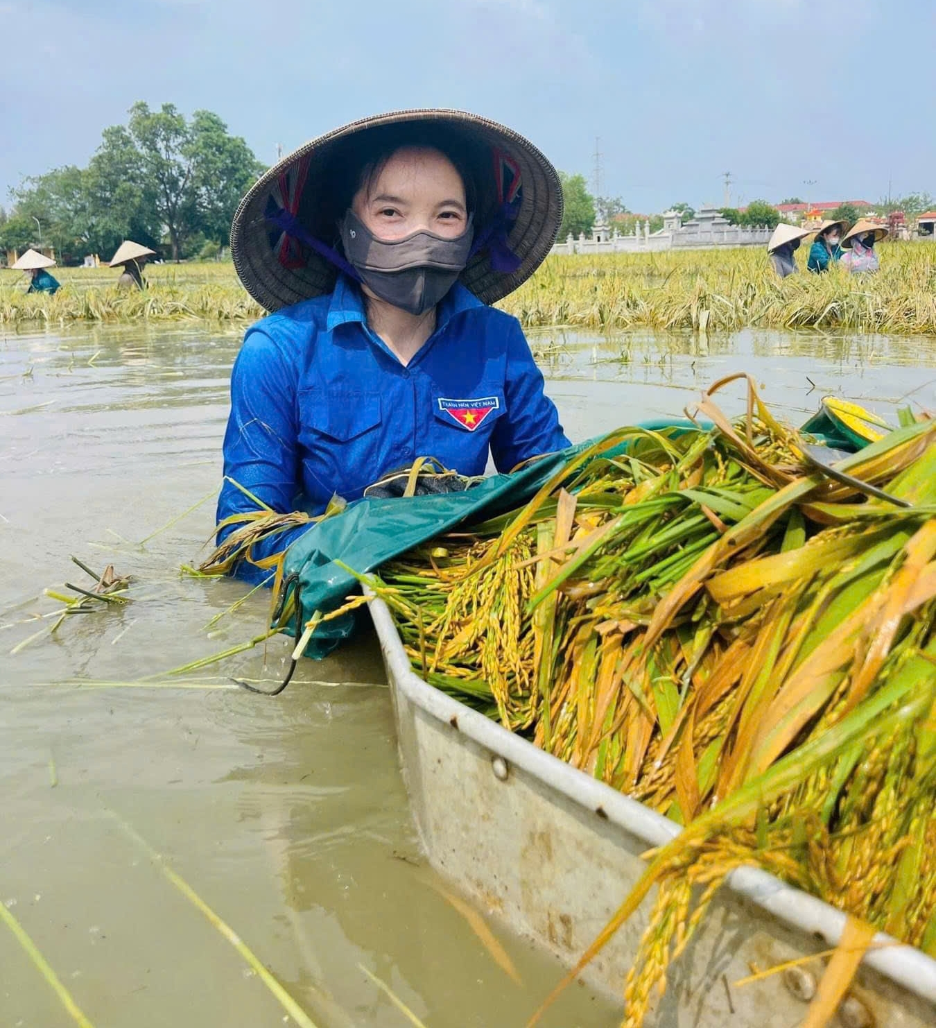 Phát huy sắc xanh trên những “tuyến đường xanh”