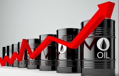 Giá dầu thô tăng trở lại sau khi OPEC cắt giảm sản lượng