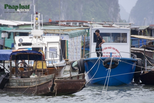 Quảng Ninh: Kiên quyết yêu cầu người dân lên bờ tránh bão số 2