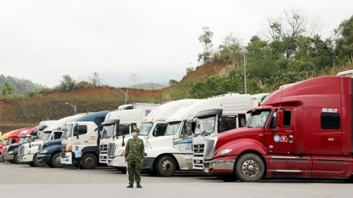 Lạng Sơn tạm dừng tiếp nhận xe chở hoa quả tươi lên cửa khẩu từ ngày 17-1