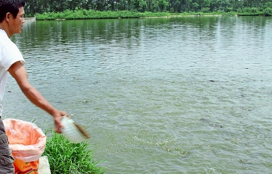 Hà Nội siết việc kinh doanh, sử dụng hóa chất, kháng sinh trong nuôi trồng thủy sản