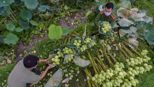 Công an huyện Ứng Hoà hỗ trợ người dân tiêu thụ nông sản