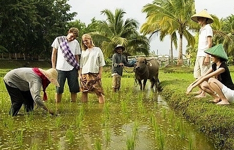 Phát triển du lịch nông thôn - giải pháp căn cơ nâng cao giá trị sản xuất nông nghiệp