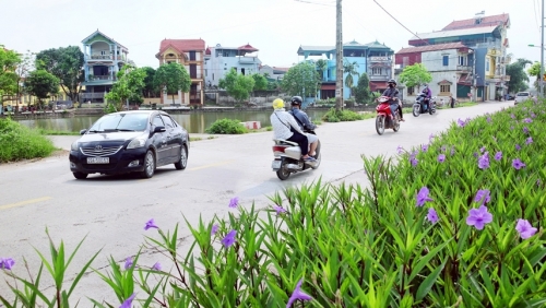 Phấn đấu đến 2025, có khoảng 40% số xã đạt chuẩn nông thôn mới nâng cao