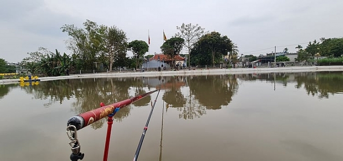 Hồ câu Thảo Vy