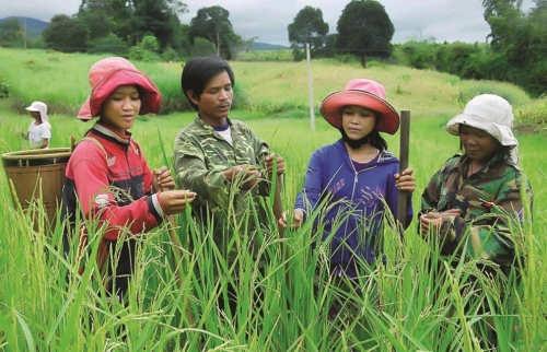 Đẩy mạnh thực hiện mục tiêu giảm nghèo đa chiều, bao trùm, bền vững đến 2030