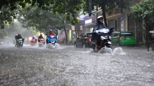 Hà Nội chủ động ứng phó với mưa lớn, lốc sét, gió giật mạnh