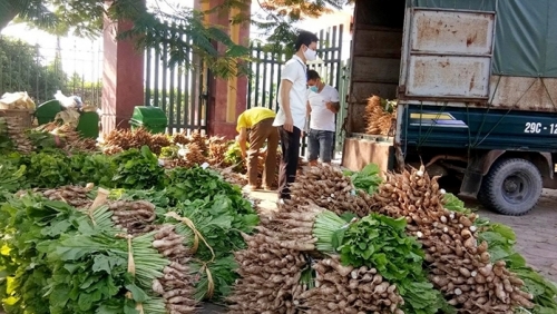 Hà Nội tổ chức vận chuyển, sản xuất, tiêu thụ nông sản phục vụ đời sống Nhân dân