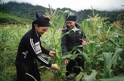 Tháo gỡ khó khăn trong thực hiện chế độ, chính sách vùng đồng bào dân tộc thiểu số và miền núi