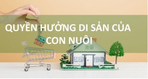 Gỡ vướng trong thi hành Luật Nuôi con nuôi bằng giải pháp tăng cường phổ biến pháp luật